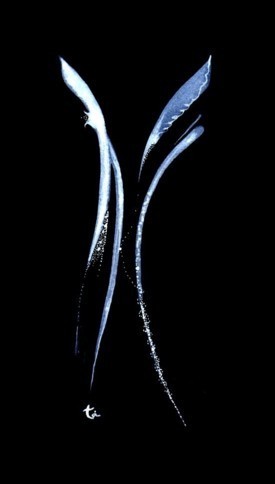 s7