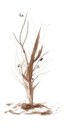 sepia n&ordm;1